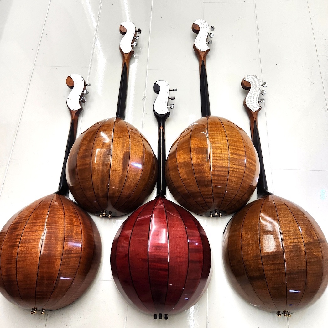 Group of concert grade professional domras, photo 7