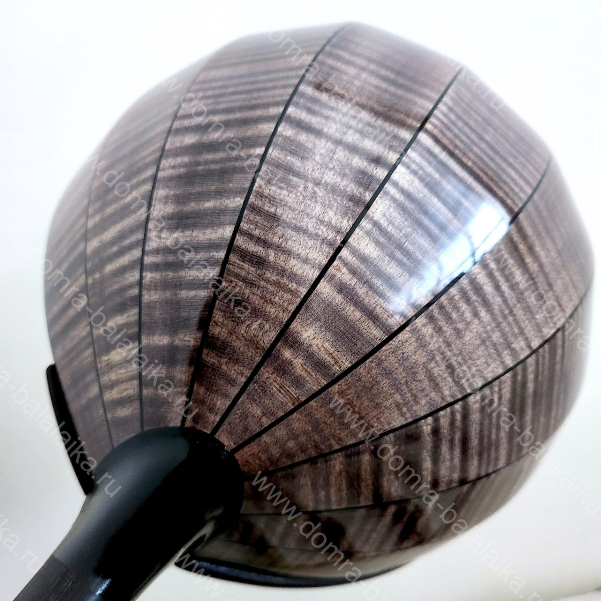 All instruments feature ebony fingerboards and fingerboard overlays, enlarged‑v..., photo 6