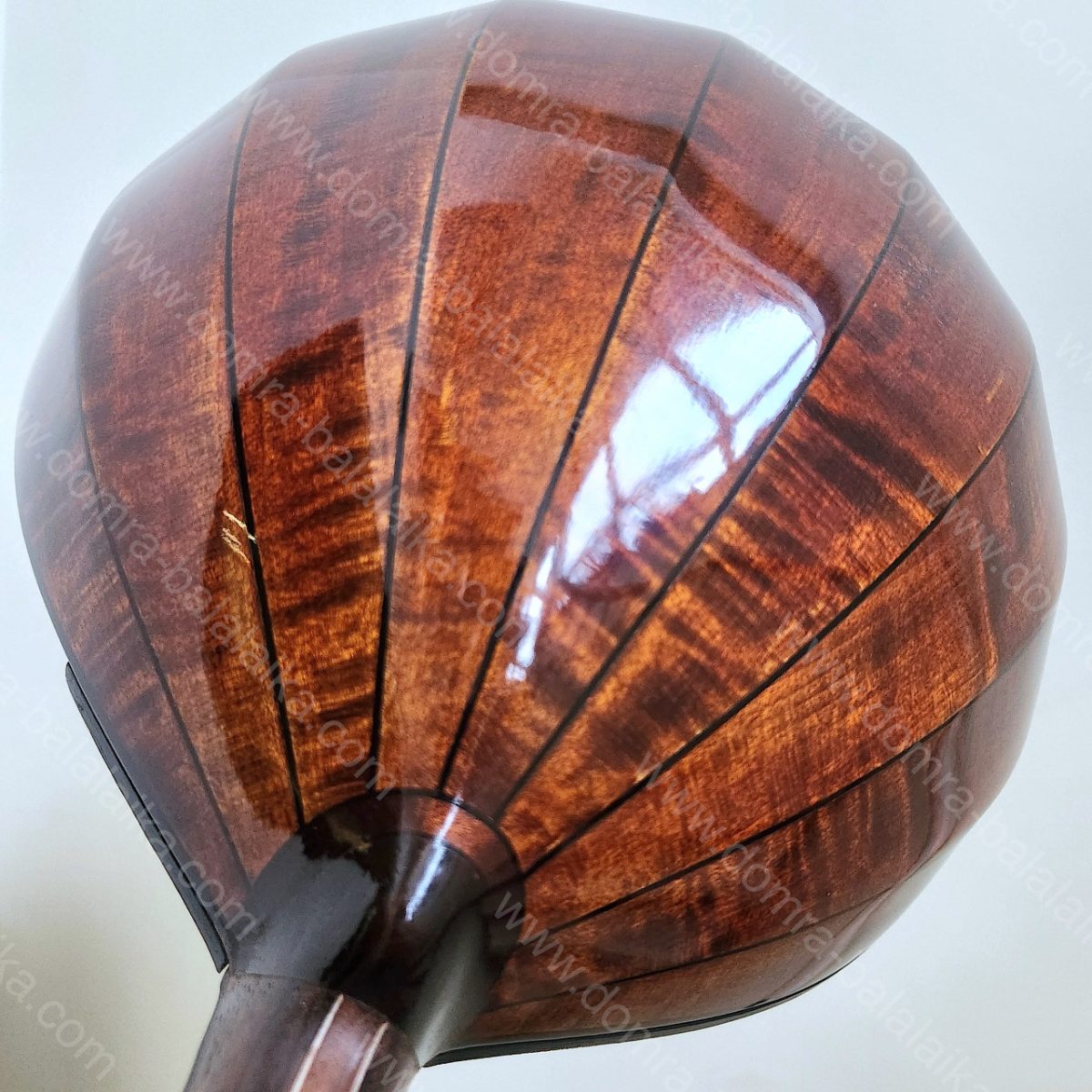 In the photo: seven very decent student‑level pro violas that sound like concer..., photo 4