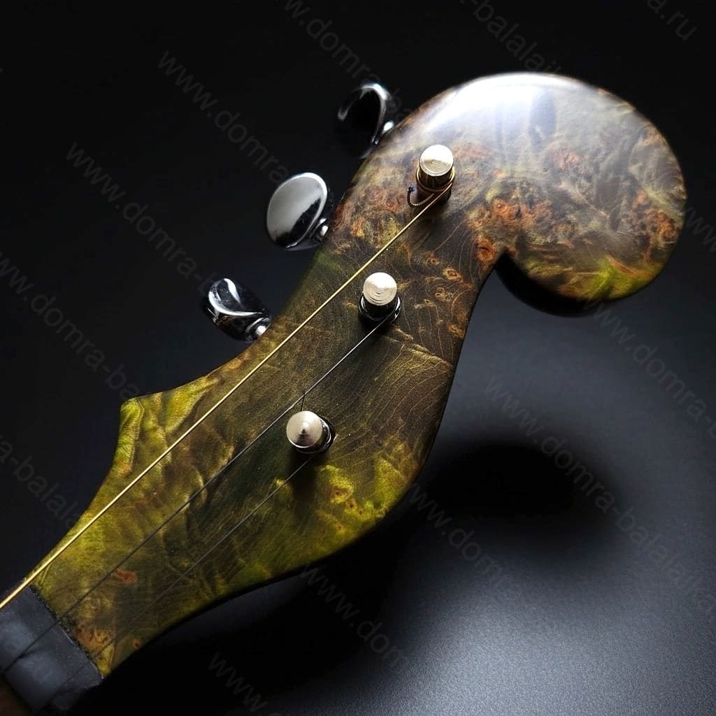 Steel frets, ebony neck and fingerboard, enlarged body volume, and an excellent..., photo 1