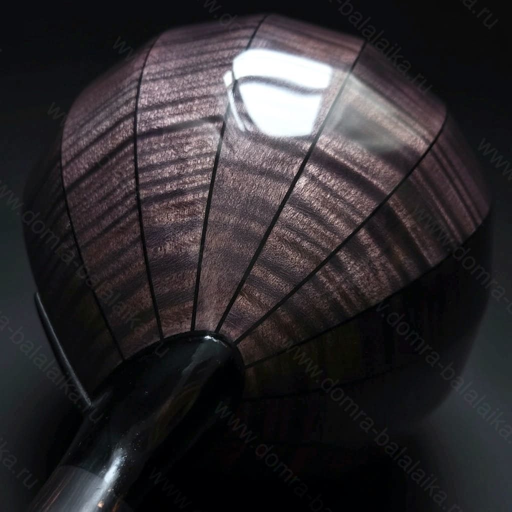 Steel frets, ebony neck and fingerboard, enlarged body volume, and an excellent..., photo 5