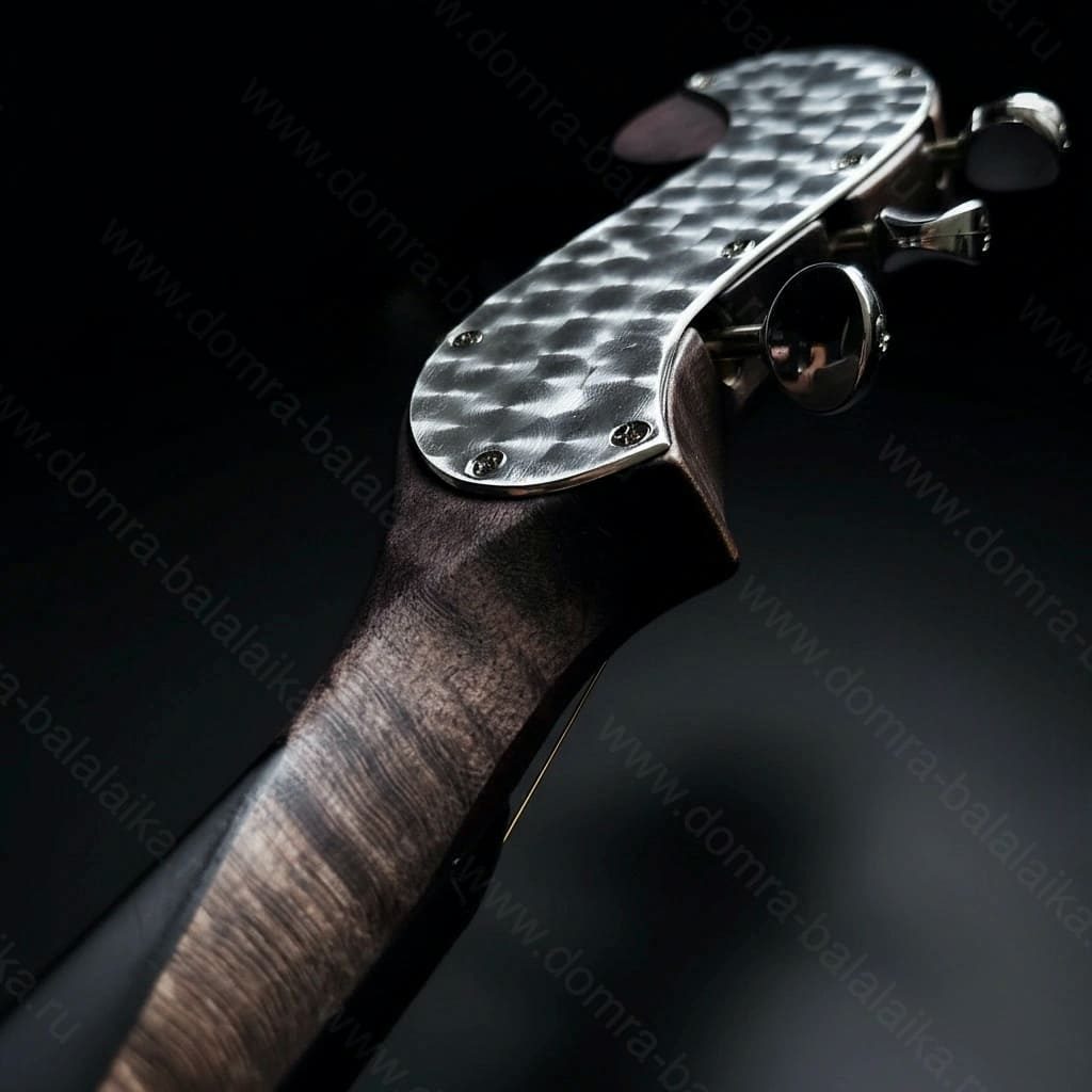 Steel frets, ebony neck and fingerboard, enlarged body volume, and an excellent..., photo 2