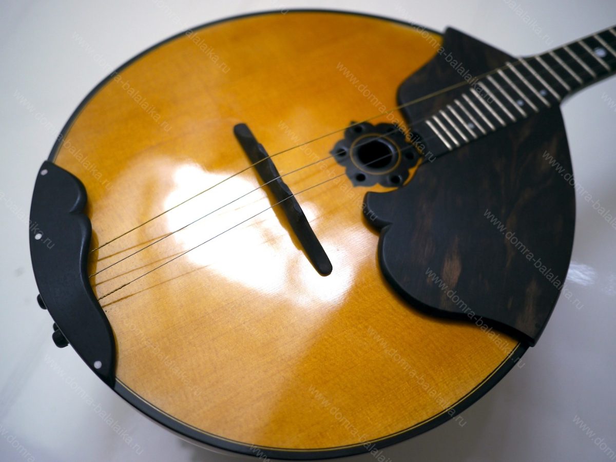 Concert domra. Spruce, figured maple, blackwood/macassar. 😊, photo 4
