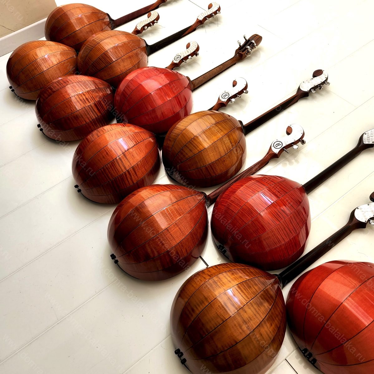 Blackwood, macassar, exotic woods. 😊, photo 6