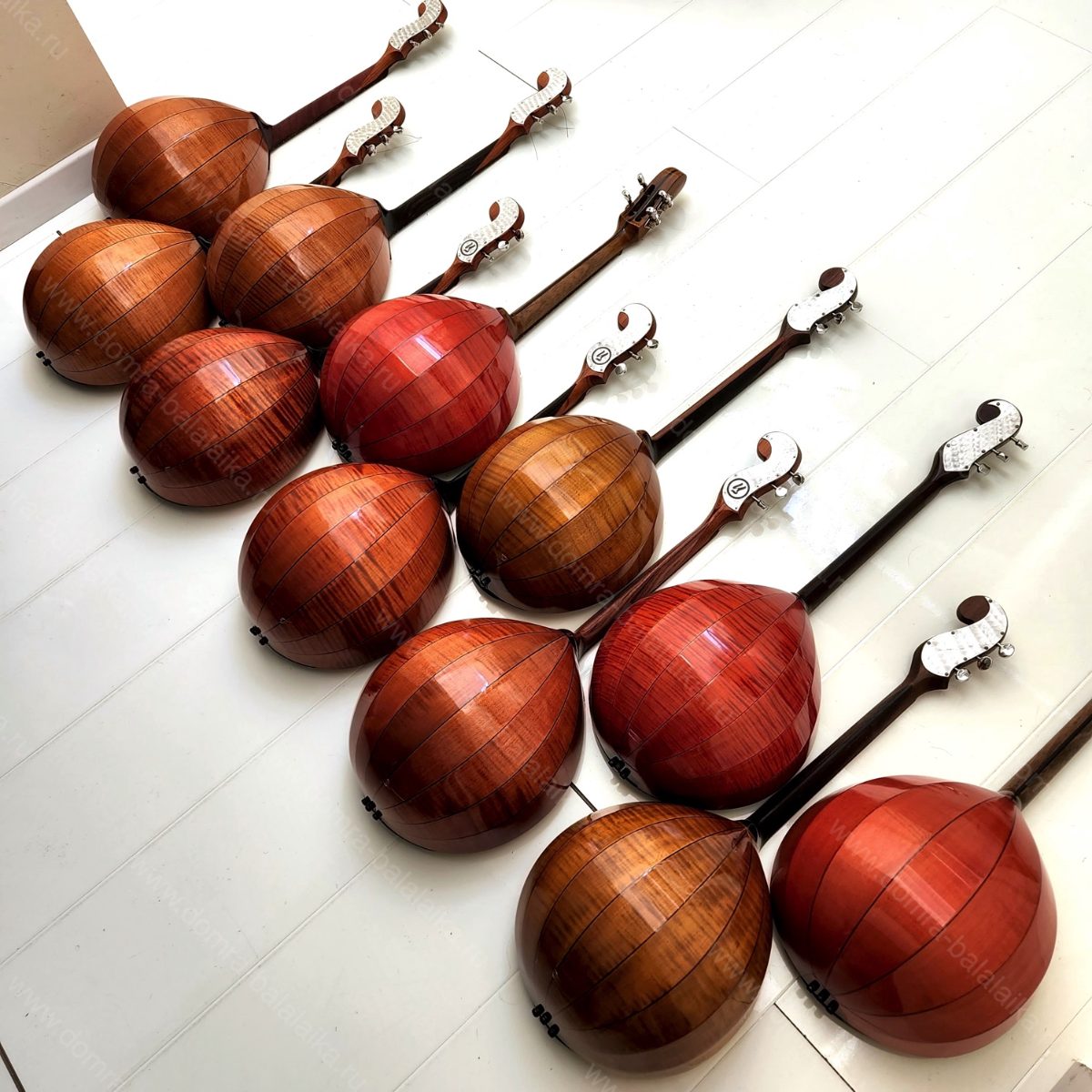 Blackwood, macassar, exotic woods. 😊, photo 4
